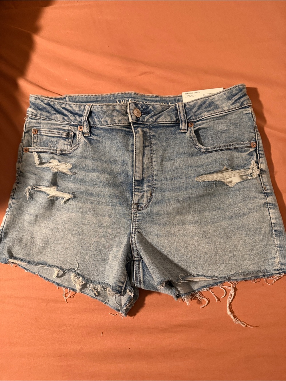 American Eagle Outfitters Light Blue Distressed Denim Shorts